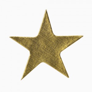 Golden Star Sticker