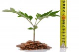 Measure, Improve & Grow Your Business’ Profit!