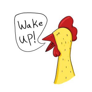 Rooster saying "wake up"