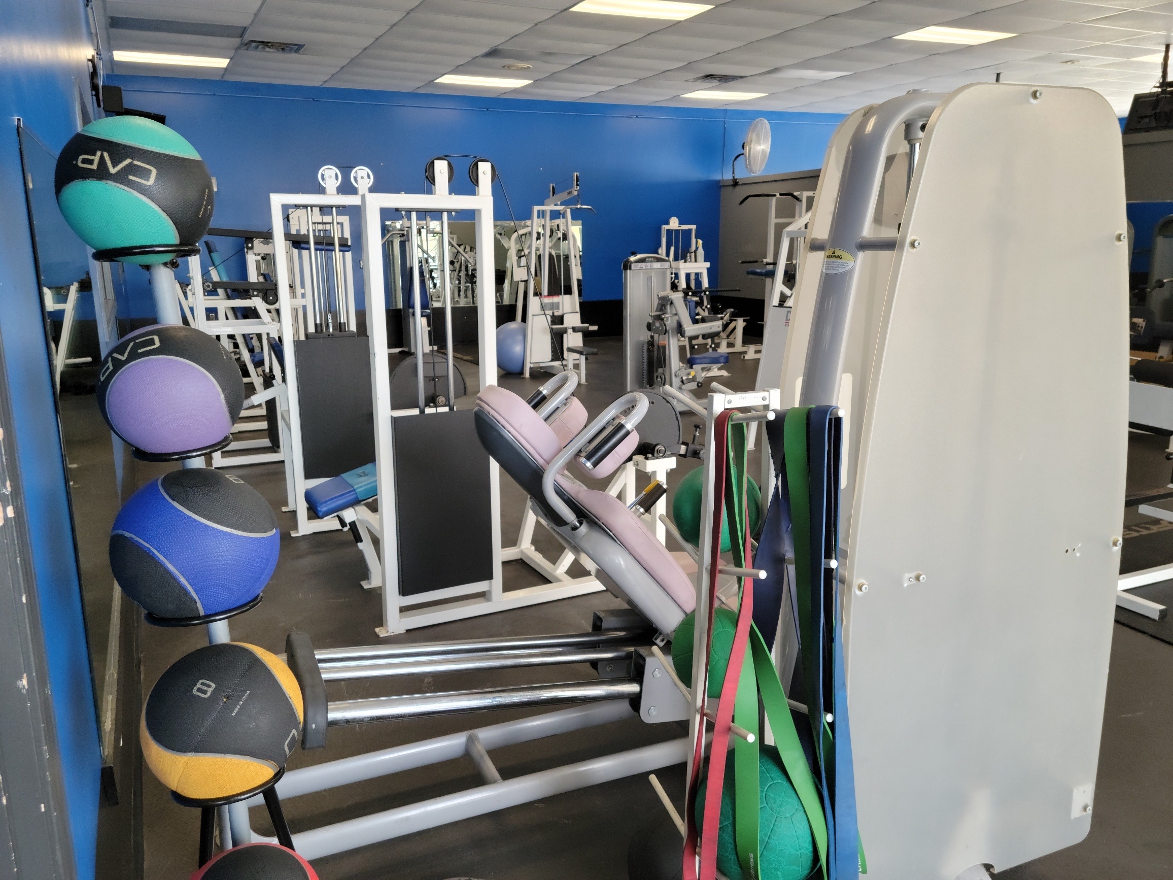 Do You Need Gym Management Software?