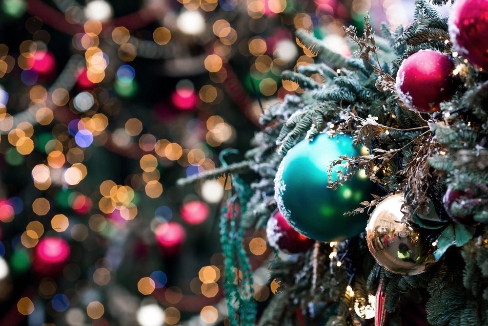 In this Issue — Explore Our Mobile Sign-up Widget!