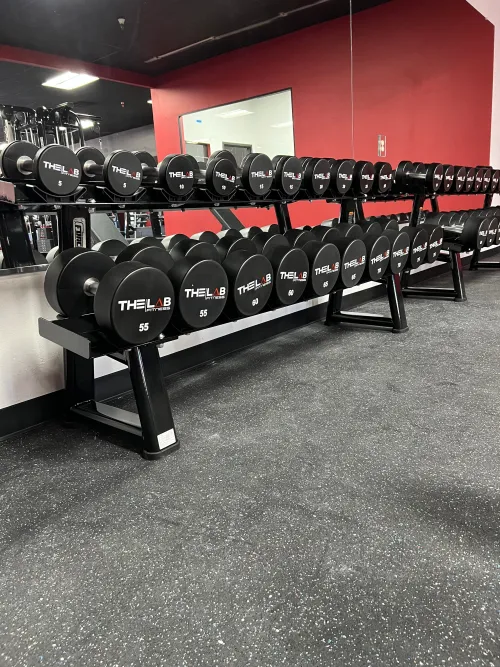 The Lab's branded dumbbells market the gym.