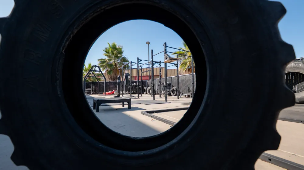 Choosing the right gym software can feel like crawling through an obstacle course! 