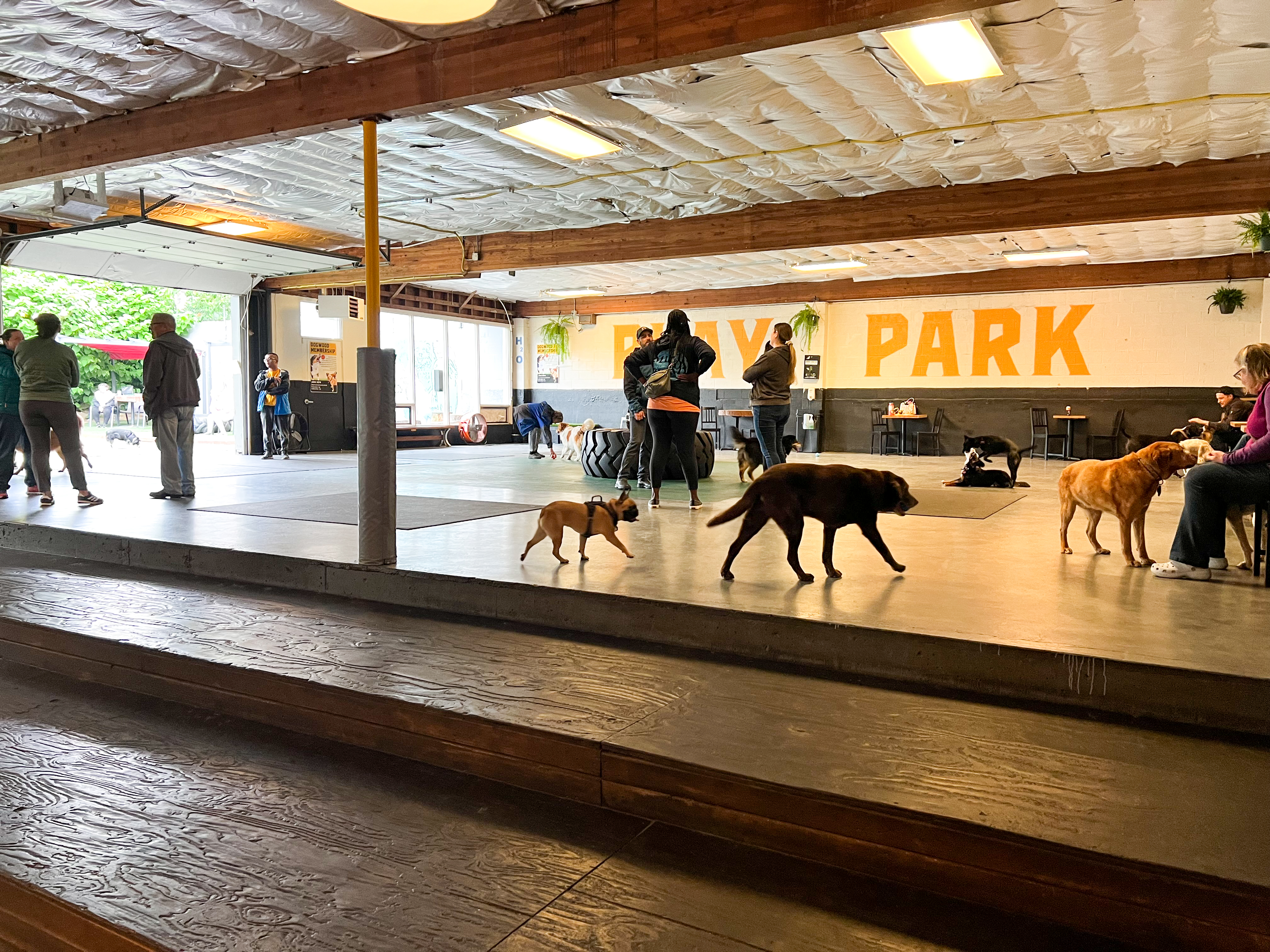 Need Automated Door Access but Not a Gym? Here’s Why Gym Insight Works for You Too. 