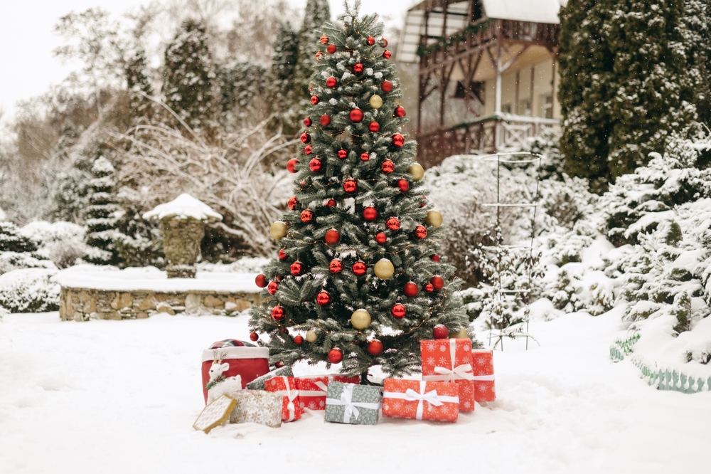 21st century juxtaposition of a colorful tree against a darkened building.